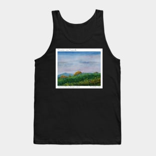 The Pinnacles -From Hervey Range lookout Tank Top